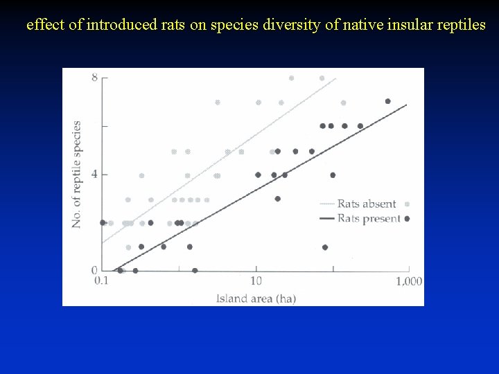 effect of introduced rats on species diversity of native insular reptiles effect of introduced rats on species diversity of native insular reptiles