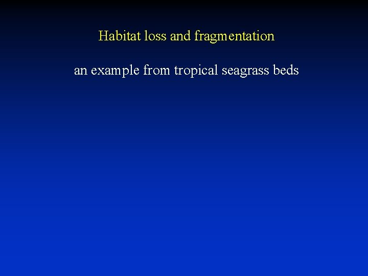 Habitat loss and fragmentation an example from tropical seagrass beds Habitat loss and fragmentation an example from tropical seagrass beds