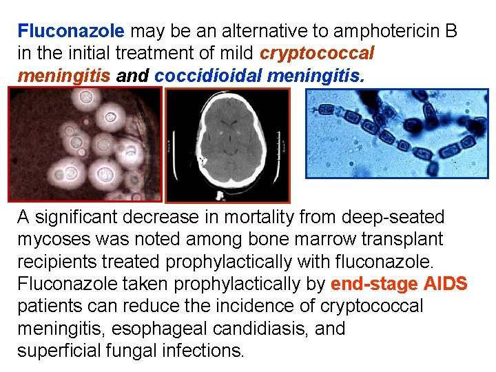 Fluconazole may be an alternative to amphotericin B in the initial treatment of mild