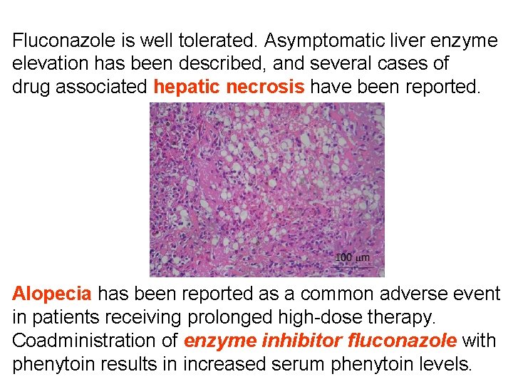 Fluconazole is well tolerated. Asymptomatic liver enzyme elevation has been described, and several cases