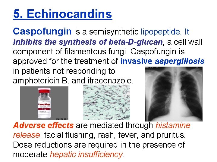 5. Echinocandins Caspofungin is a semisynthetic lipopeptide. It inhibits the synthesis of beta-D-glucan, a