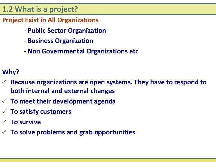 1. 2 What is a project? Project Exist in All Organizations - Public Sector