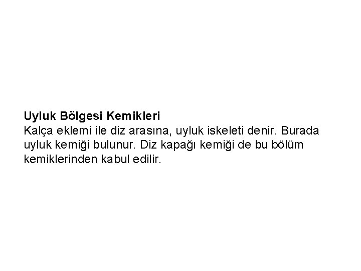 Uyluk Bölgesi Kemikleri Kalça eklemi ile diz arasına, uyluk iskeleti denir. Burada uyluk kemiği