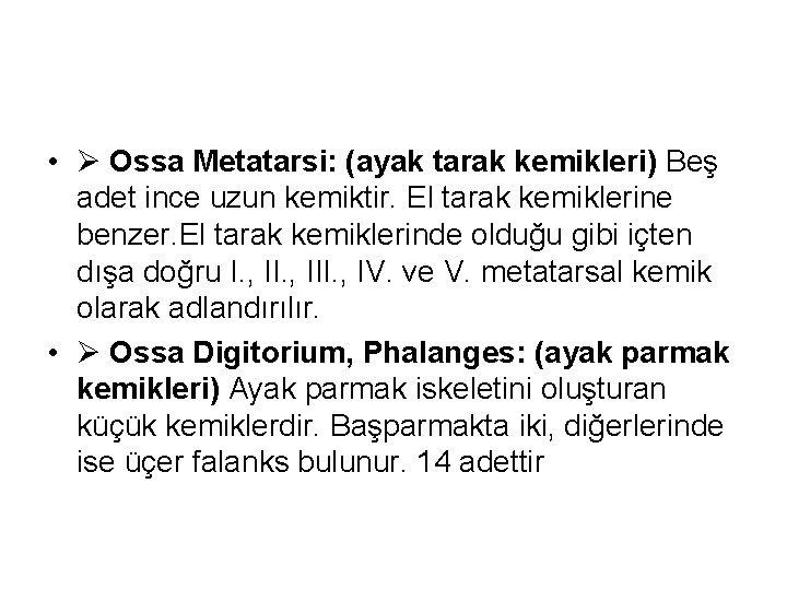  • Ossa Metatarsi: (ayak tarak kemikleri) Beş adet ince uzun kemiktir. El tarak