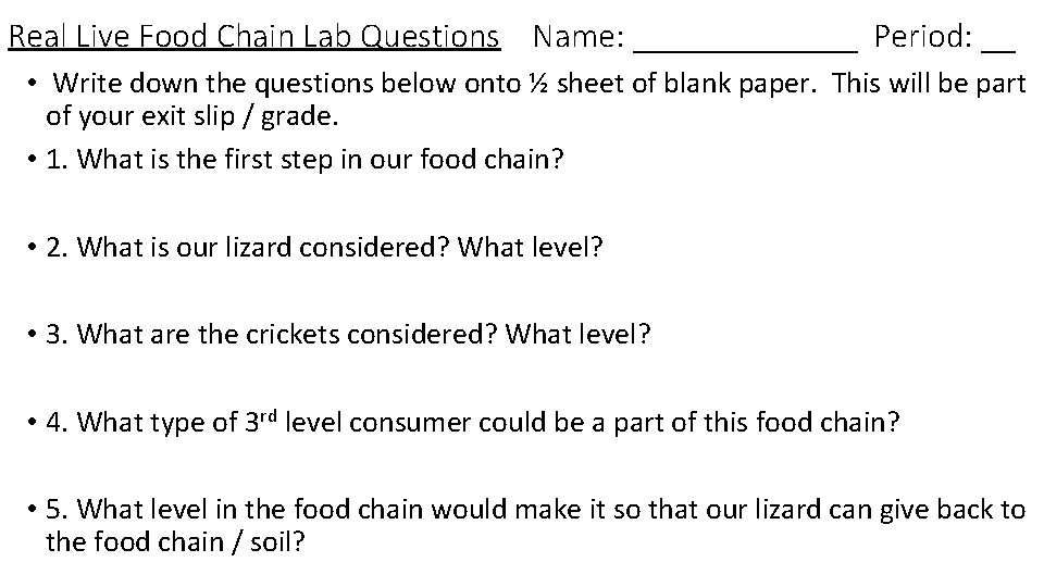 Real Live Food Chain Lab Questions Name: _______ Period: __ • Write down the
