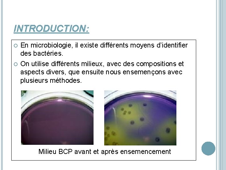 INTRODUCTION: En microbiologie, il existe différents moyens d’identifier des bactéries. On utilise différents milieux,