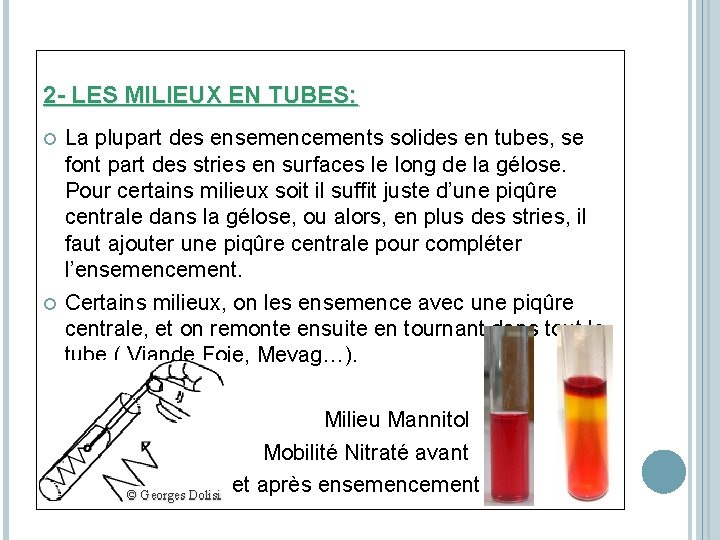 2 - LES MILIEUX EN TUBES: La plupart des ensemencements solides en tubes, se