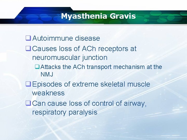 Myasthenia Gravis q Autoimmune disease q Causes loss of ACh receptors at neuromuscular junction