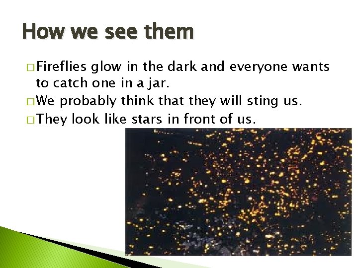 How we see them � Fireflies glow in the dark and everyone wants to