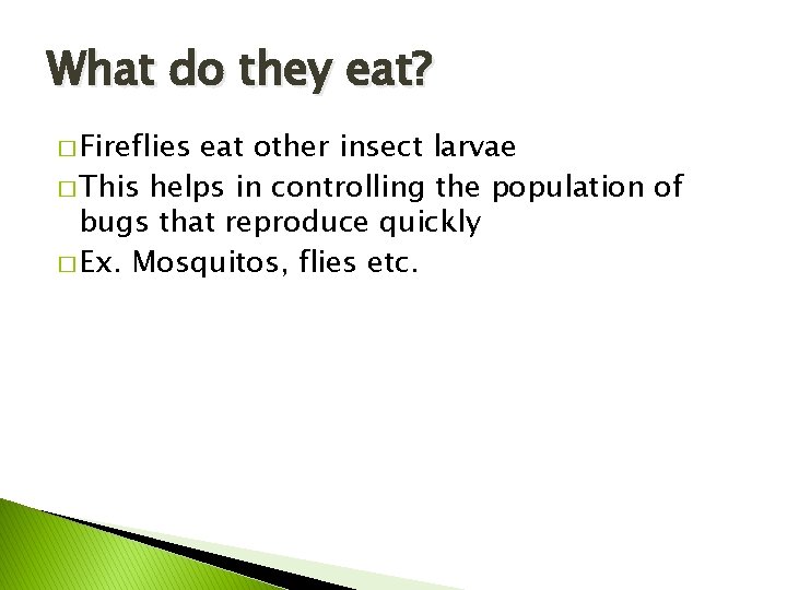 What do they eat? � Fireflies eat other insect larvae � This helps in