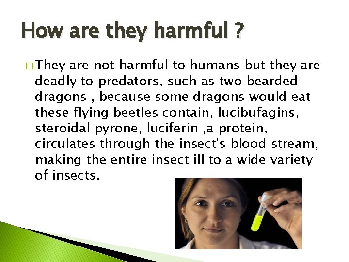 How are they harmful ? � They are not harmful to humans but they