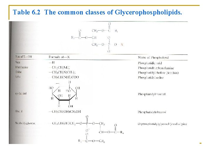 Table 6. 2 The common classes of Glycerophospholipids. 