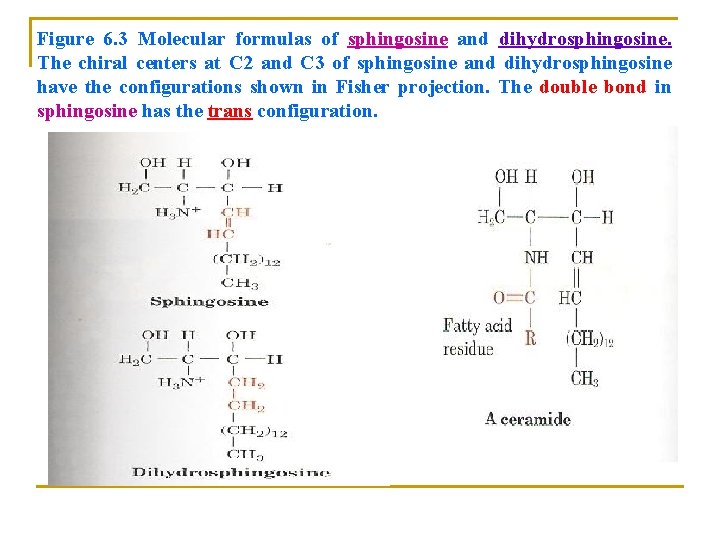 Figure 6. 3 Molecular formulas of sphingosine and dihydrosphingosine. The chiral centers at C