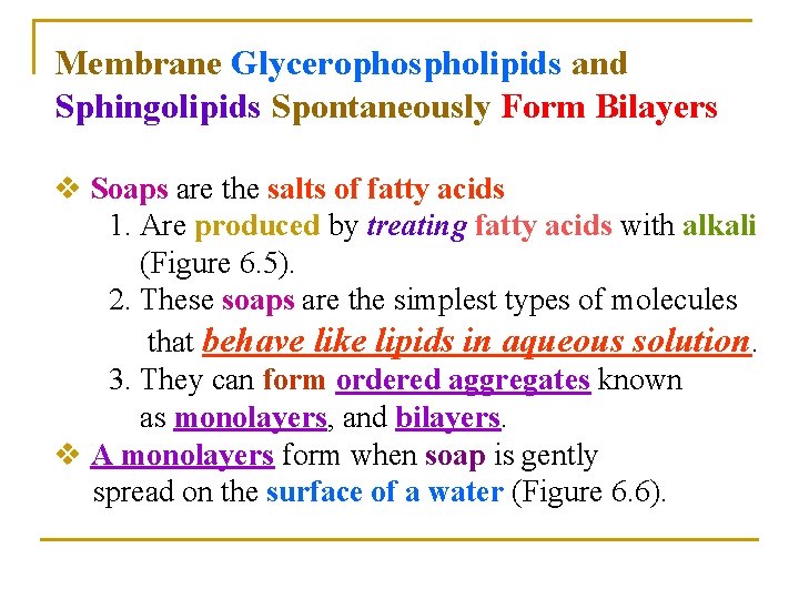 Membrane Glycerophospholipids and Sphingolipids Spontaneously Form Bilayers v Soaps are the salts of fatty