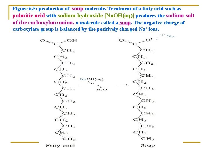 Figure 6. 5: production of soup molecule. Treatment of a fatty acid such as