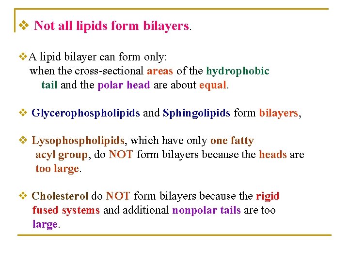v Not all lipids form bilayers. v. A lipid bilayer can form only: when