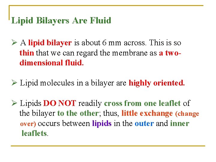 Lipid Bilayers Are Fluid Ø A lipid bilayer is about 6 mm across. This