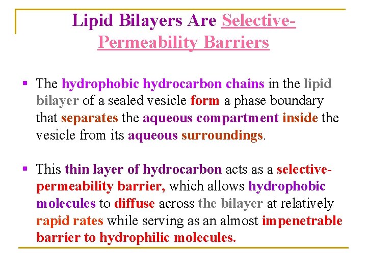 Lipid Bilayers Are Selective. Permeability Barriers § The hydrophobic hydrocarbon chains in the lipid