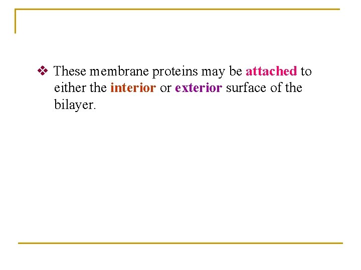 v These membrane proteins may be attached to either the interior or exterior surface