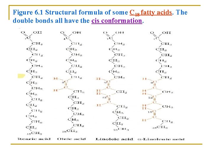 Figure 6. 1 Structural formula of some C 18 fatty acids. The double bonds