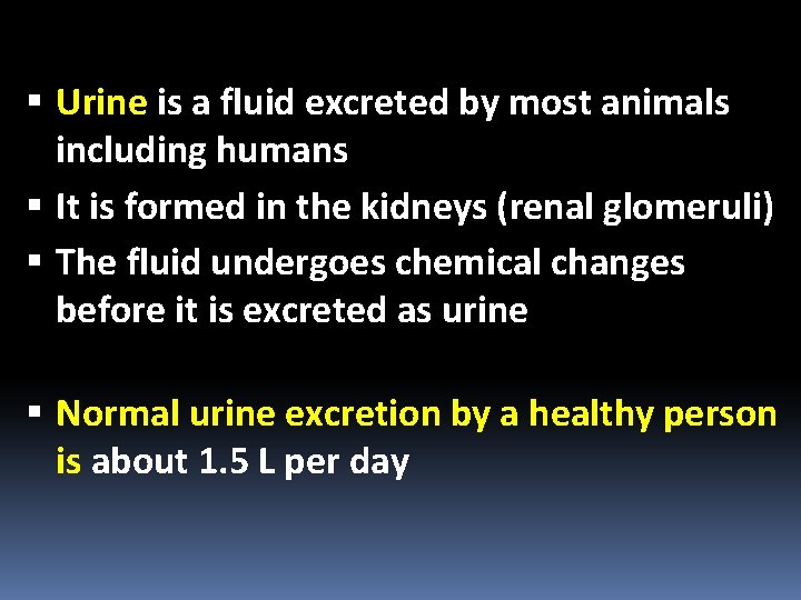  Urine is a fluid excreted by most animals including humans It is formed