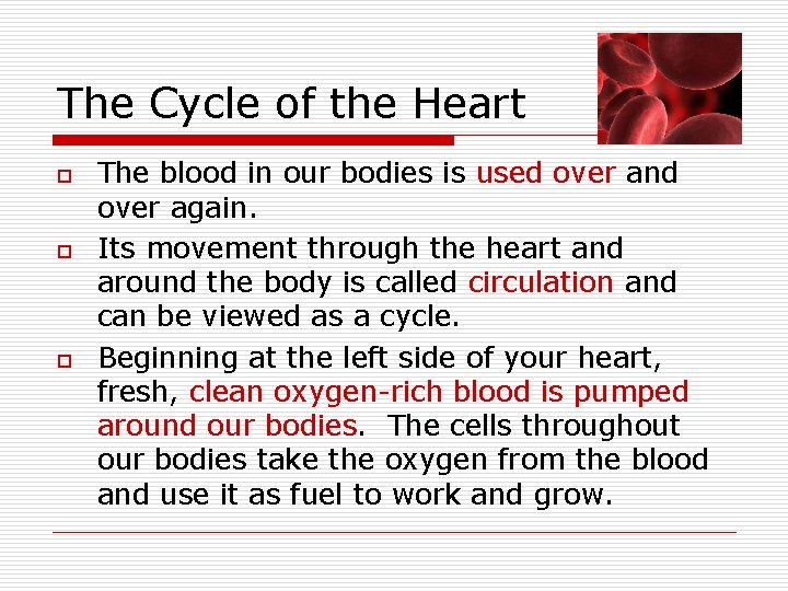 The Cycle of the Heart o o o The blood in our bodies is