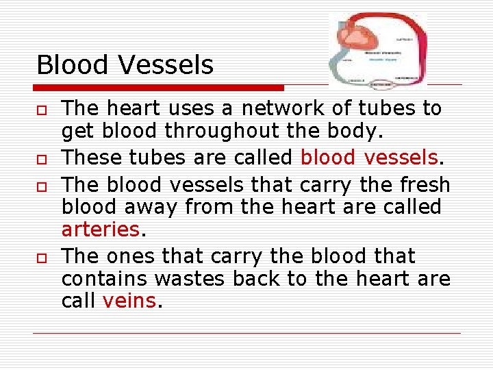Blood Vessels o o The heart uses a network of tubes to get blood