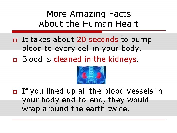 More Amazing Facts About the Human Heart o o o It takes about 20