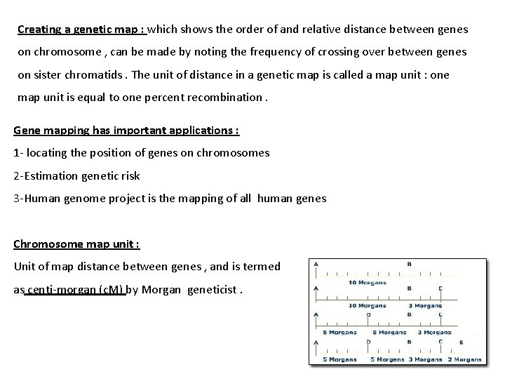 Creating a genetic map : which shows the order of and relative distance between