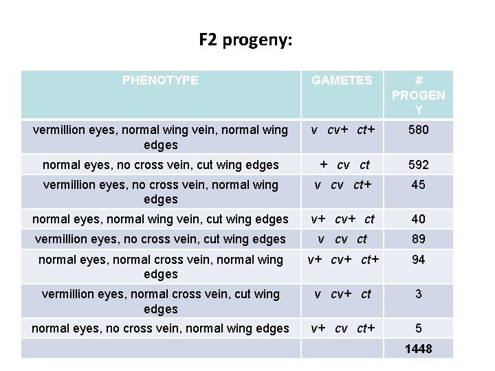 F 2 progeny: PHENOTYPE GAMETES # PROGEN Y vermillion eyes, normal wing vein, normal
