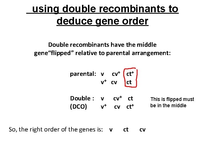 using double recombinants to deduce gene order Double recombinants have the middle gene“flipped” relative