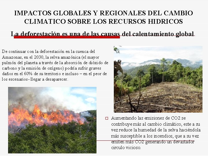 IMPACTOS GLOBALES Y REGIONALES DEL CAMBIO CLIMATICO SOBRE LOS RECURSOS HIDRICOS La deforestación es