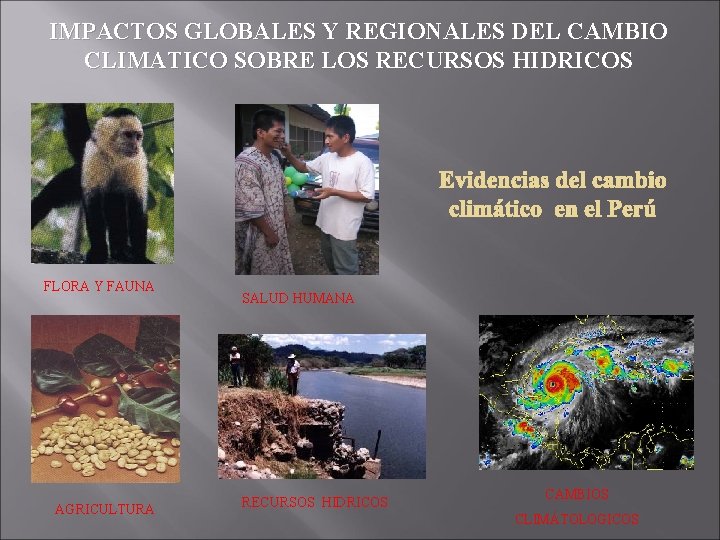 IMPACTOS GLOBALES Y REGIONALES DEL CAMBIO CLIMATICO SOBRE LOS RECURSOS HIDRICOS FLORA Y FAUNA