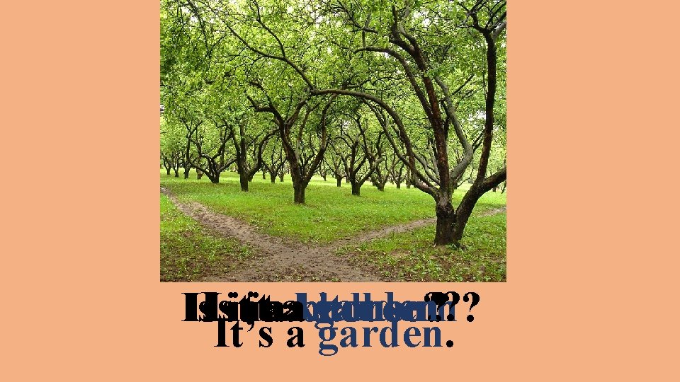 garden? Isitititaaakitchen? house? Is. Is bedroom? It’s a garden. 