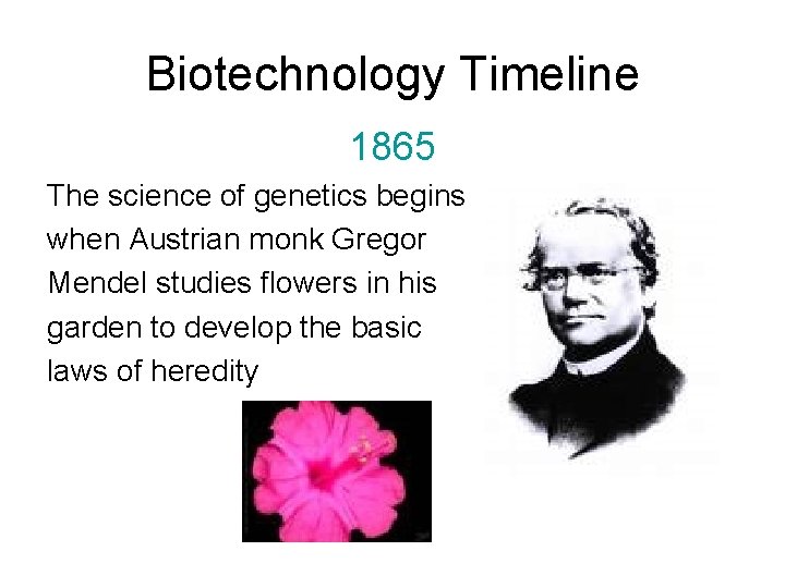 Biotechnology Timeline 1865 The science of genetics begins when Austrian monk Gregor Mendel studies