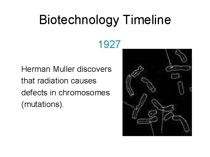 Biotechnology Timeline 1927 Herman Muller discovers that radiation causes defects in chromosomes (mutations). 