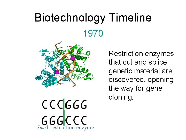 Biotechnology Timeline 1970 Restriction enzymes that cut and splice genetic material are discovered, opening