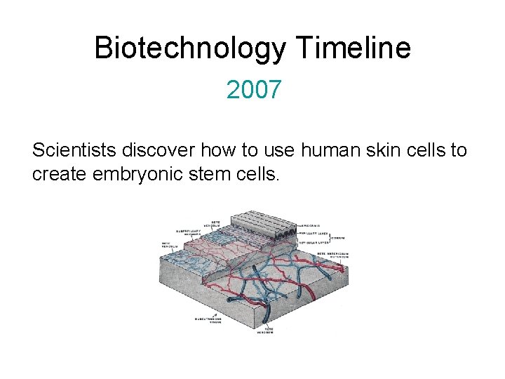 Biotechnology Timeline 2007 Scientists discover how to use human skin cells to create embryonic