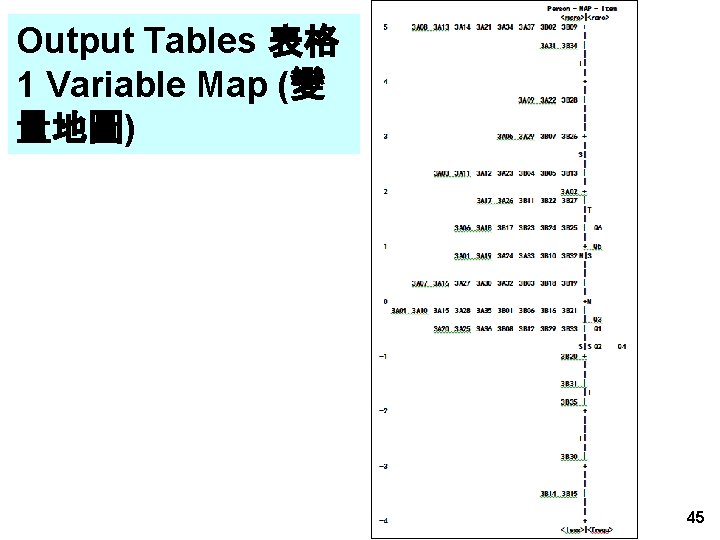 Output Tables 表格 1 Variable Map (變 量地圖) 45 