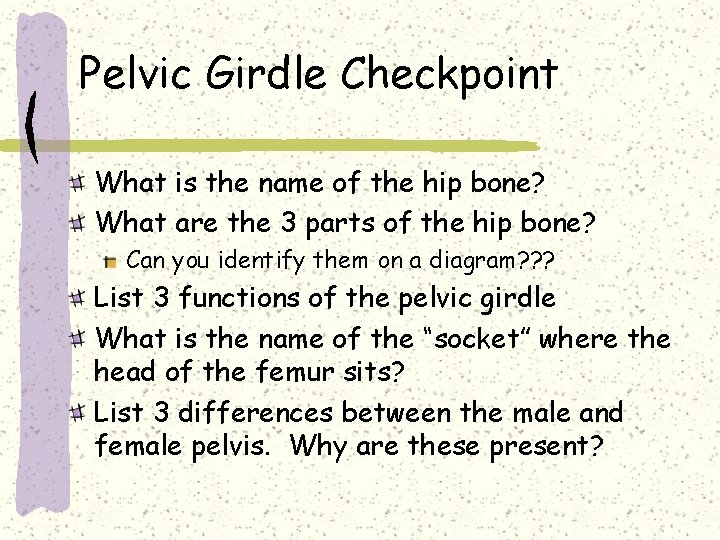 Pelvic Girdle Checkpoint What is the name of the hip bone? What are the