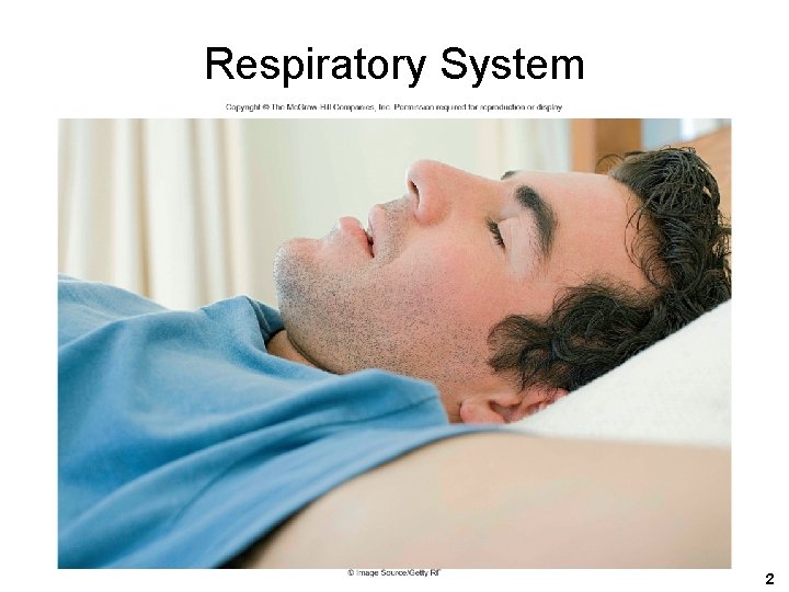 Respiratory System 2 