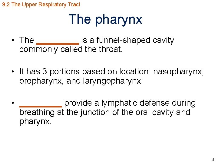 9. 2 The Upper Respiratory Tract The pharynx • The _____ is a funnel-shaped
