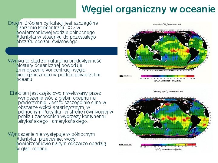 Węgiel organiczny w oceanie Drugim źródłem cyrkulacji jest szczególne zaniżenie koncentracji CO 2 w