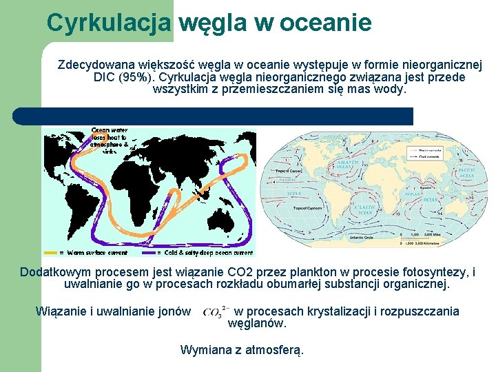 Cyrkulacja węgla w oceanie Zdecydowana większość węgla w oceanie występuje w formie nieorganicznej DIC