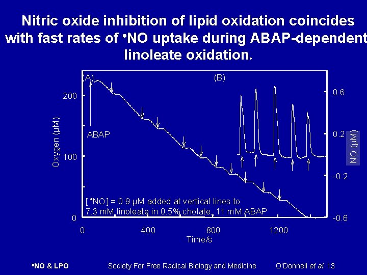 Nitric oxide inhibition of lipid oxidation coincides with fast rates of NO uptake during
