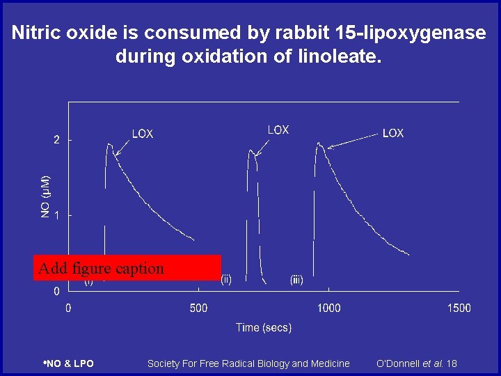 Nitric oxide is consumed by rabbit 15 -lipoxygenase during oxidation of linoleate. Add figure