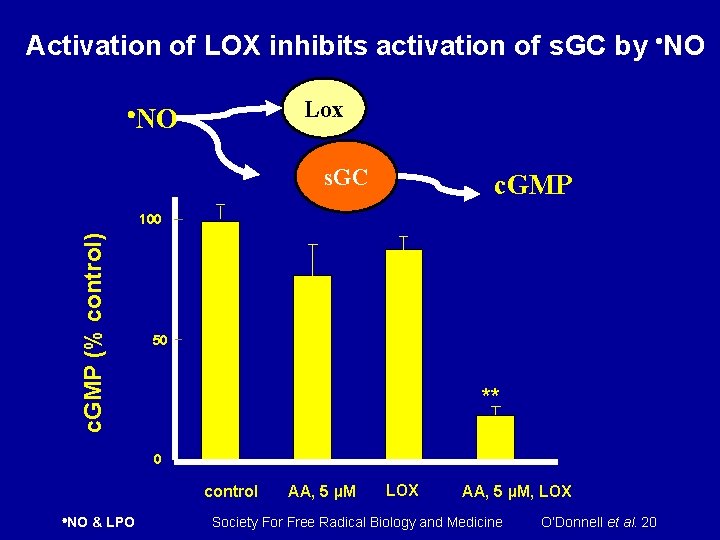 Activation of LOX inhibits activation of s. GC by NO Lox NO s. GC