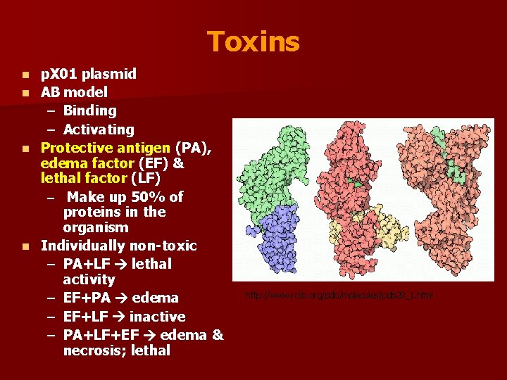 Toxins p. X 01 plasmid n AB model – Binding – Activating n Protective
