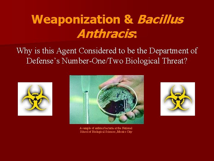 Weaponization & Bacillus Anthracis: Why is this Agent Considered to be the Department of