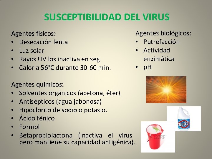 SUSCEPTIBILIDAD DEL VIRUS Agentes físicos: • Desecación lenta • Luz solar • Rayos UV